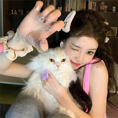 2026热播剧精选第066期